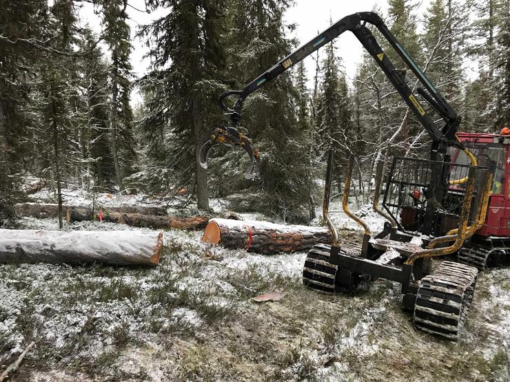 Förhandsvisning av bild